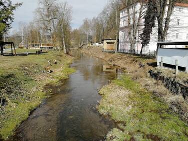 Revitalizace náhonu